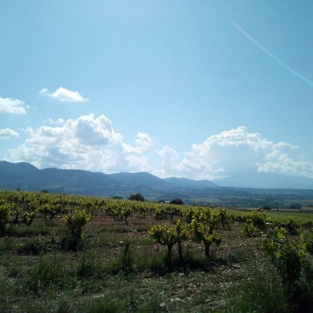 Gite La Fleur D Olivier Nyons Bagian luar foto